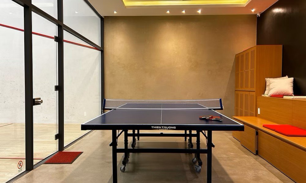 ping pong da nang
